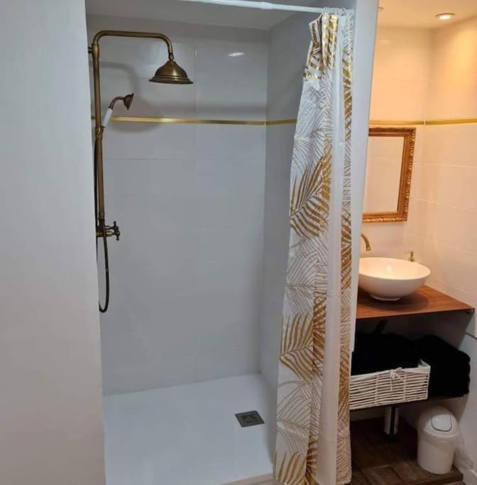 Le « Saint-Just » Apartment Rodez Exterior photo
